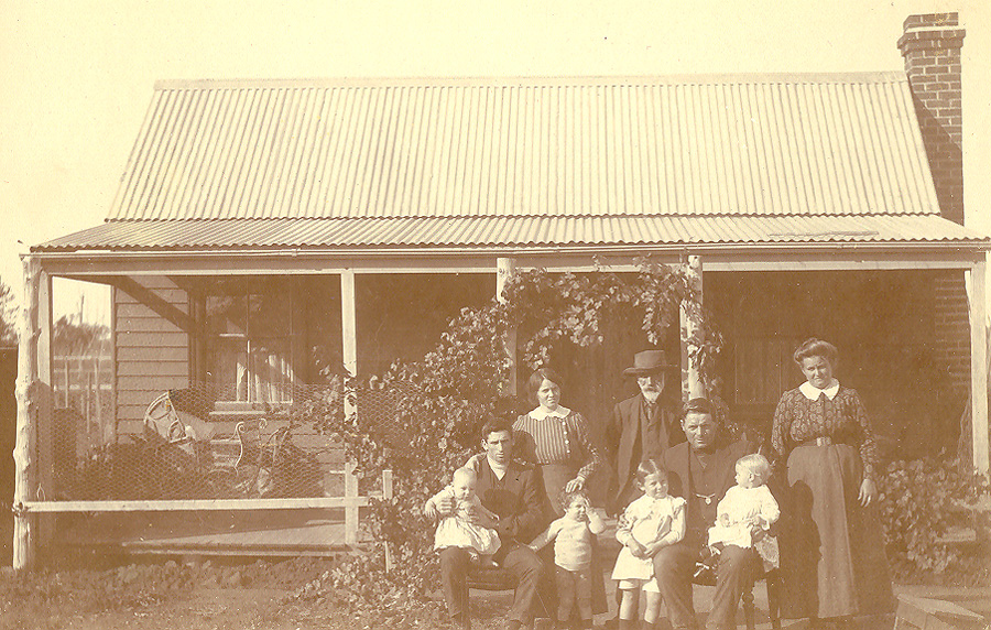bee farm c1913