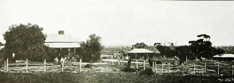 grass valley pingelly